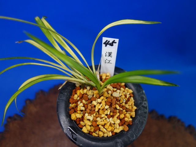 画像: 漢江（はんがん）